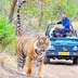 Jaipur Ranthambore Taxi